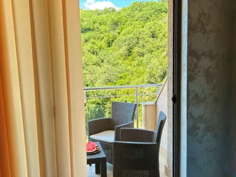 Izdavanje, jednosoban stan, 49m², Pržno, Budva - image 3
