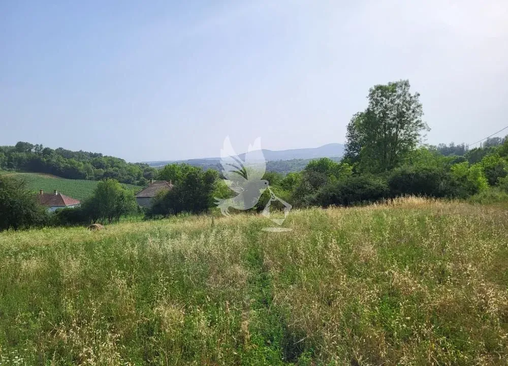 Prodaja, plac, 6900m², Mladenovac, Beograd