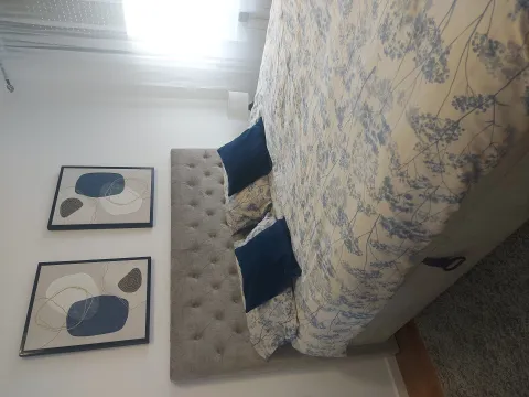 Rent, two bedroom apartment, 46m², Višnjička Banja, Palilula Sve Podlokacije - image 7