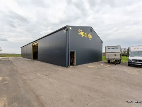 Sale, office space, 1200m², Bečej, Novi Sad - image 6