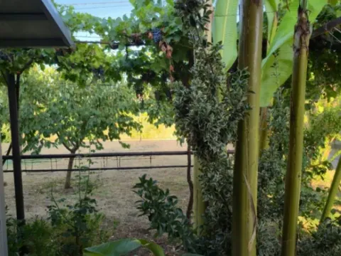 Izdavanje, kuća, 52m², Donja Gorica, Podgorica - image 4