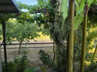 Izdavanje, kuća, 52m², Donja Gorica, Podgorica - image 4