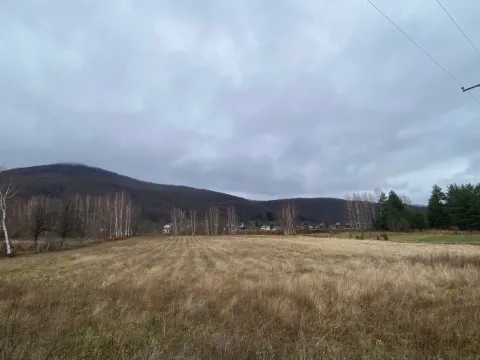 Prodaja, plac, 5617m², Podbišće, Mojkovac - image 4