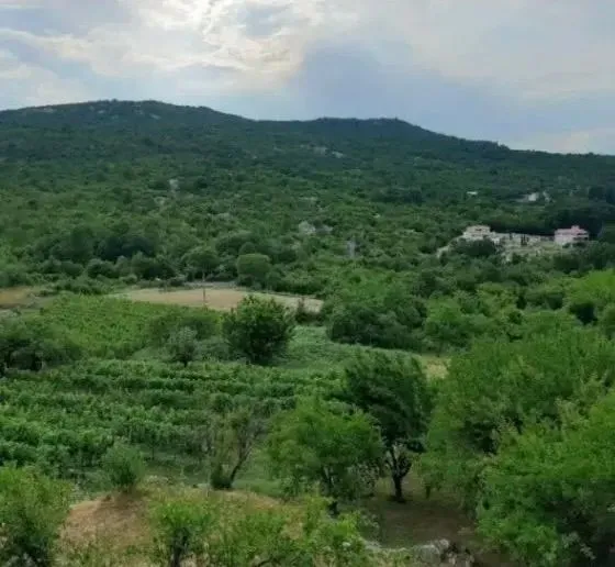 Prodaja, plac, 9300m², Cetinje, Crna Gora
