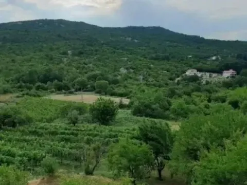 Prodaja, plac, 9300m², Cetinje, Crna Gora - image 2