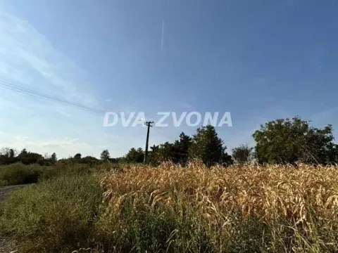 Prodaja, plac, 1100m², Čortanovci, Inđija - image 2