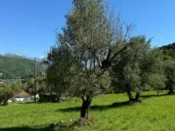 Prodaja, plac, 2540m², Kamenari, Herceg Novi - image 4