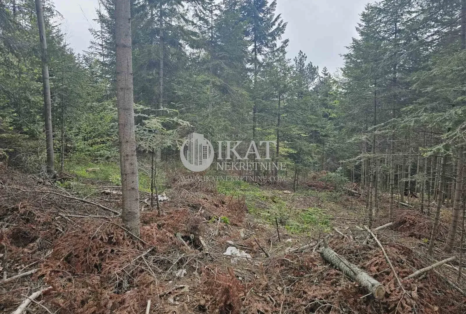 Sale, land lot, 500m², Tara, Srbija