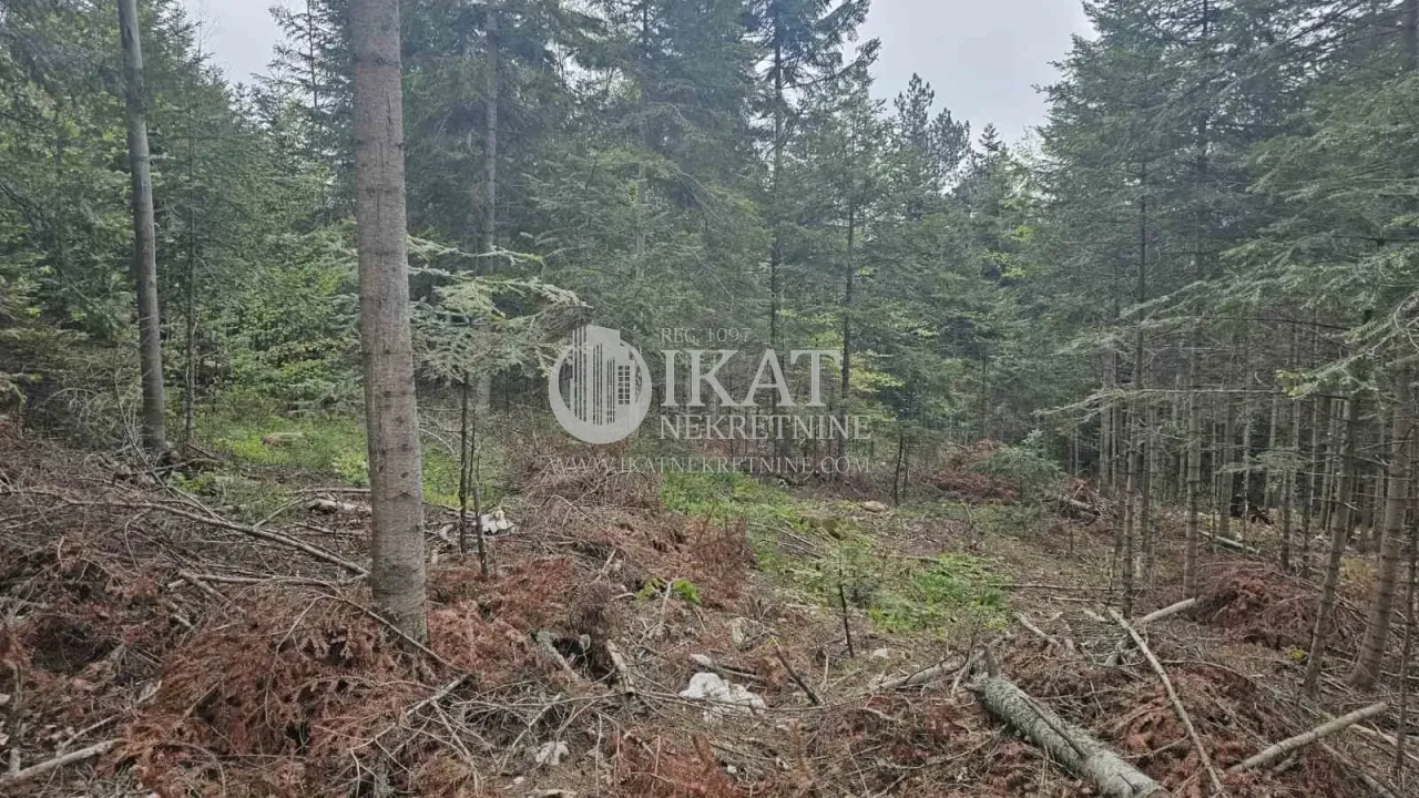 Sale, land lot, 500m², Tara, Srbija