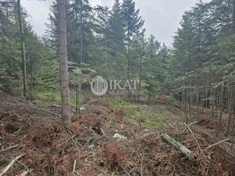 Sale, land lot, Tara, Srbija