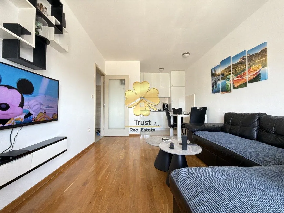 Rent, one bedroom apartment, 40m², Zabjelo, Podgorica