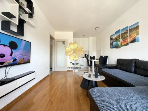 Rent, one bedroom apartment, 40m², Zabjelo, Podgorica - image 2