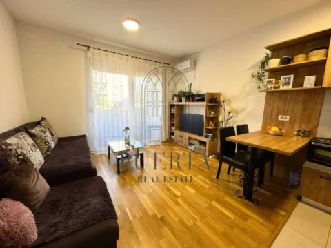 Izdavanje, garsonjera, 29m², Ljubović, Podgorica - image 1