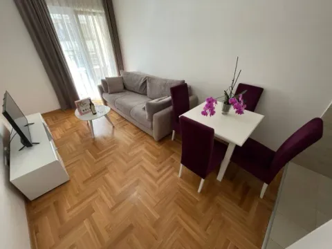 Izdavanje, jednosoban stan, 40m², Maslinjak, Budva - image 5