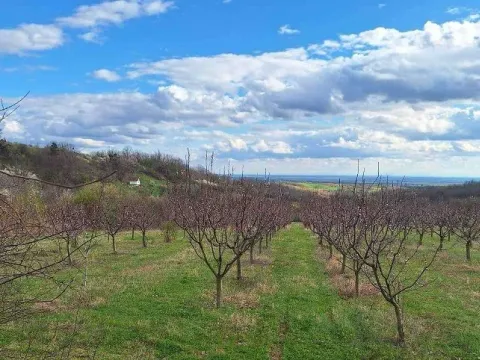 Zemljište in Banja Vrdnik