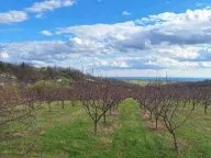 Prodaja, plac, 11894m², Banja Vrdnik, Irig