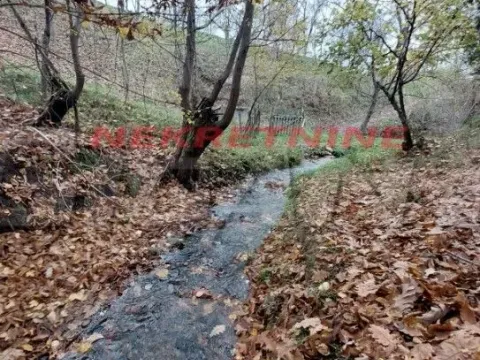 Prodaja, plac, 20000m², Lipova, Vrnjačka Banja - image 14