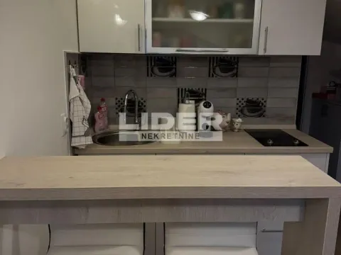 Izdavanje, dvosoban stan, 30m², Vračar Sve Podlokacije, Beograd - image 5