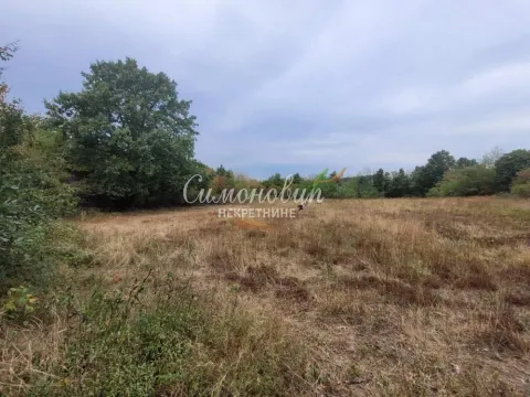 Pogled na zemljište sa niskim rastinjem i drvećem. - image 15