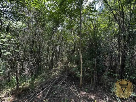 Sale, land lot, 4600m², Vrčin, Grocka - image 10