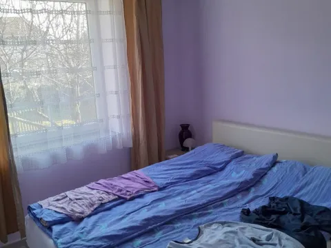 Prodaja, kuća, 350m², Veternik, Novi Sad Sve Podlokacije - image 5