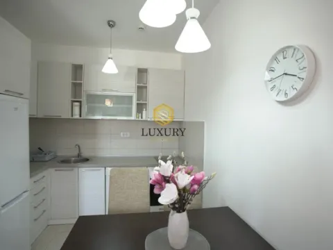 Izdavanje, jednosoban stan, 42m², City Kvart, Podgorica - image 13