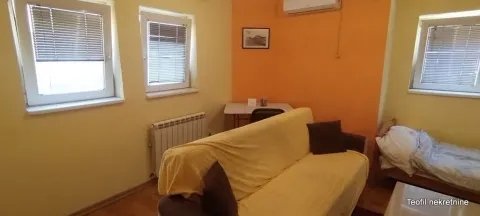 Dnevna soba sa kaučem, krevetom i prozorima. - image 3