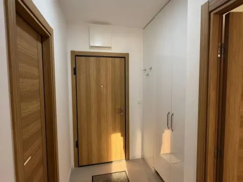 Rent, one bedroom apartment, 45m², New City, Podgorica - image 6