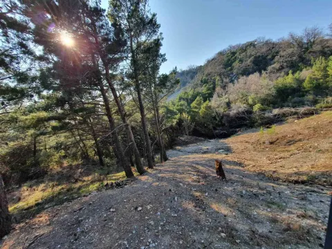 Prodaja, plac, 1028m², Bar, Crna Gora - image 8