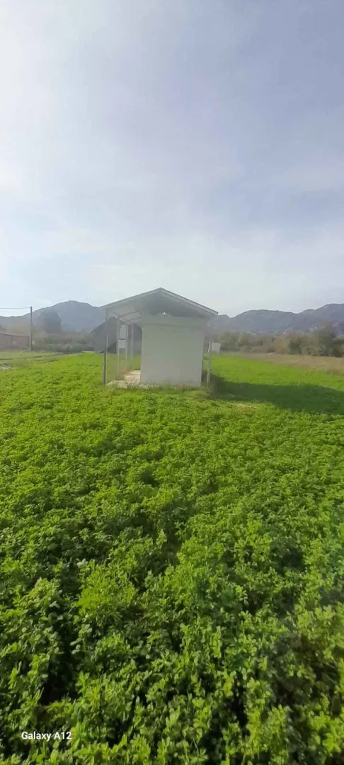 Pogled na zeleno dvorište sa pomoćnim objektom i planinama u pozadini.