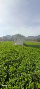 Pogled na zeleno dvorište sa pomoćnim objektom i planinama u pozadini. - image 4