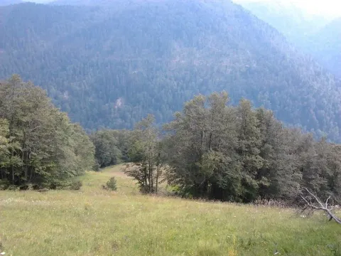 Prodaja, plac, 10000m², Kolašin, Crna Gora - image 2