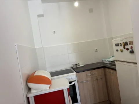 Izdavanje, jednosoban stan, 42m², Altina, Beograd - image 9