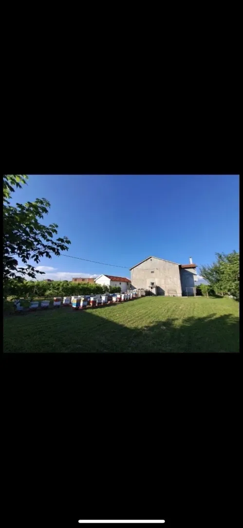 Dvorište sa kućom i pčelinjakom.