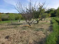 Sale, land lot, Novi Slankamen, Inđija - image 5