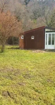 Mala pomoćna zgrada u prostranom travnatom dvorištu okruženom drvećem. - image 8