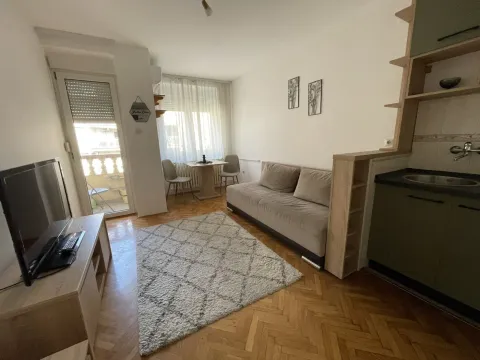 Izdavanje, jednosoban stan, 23m², Detelinara, Novi Sad Sve Podlokacije