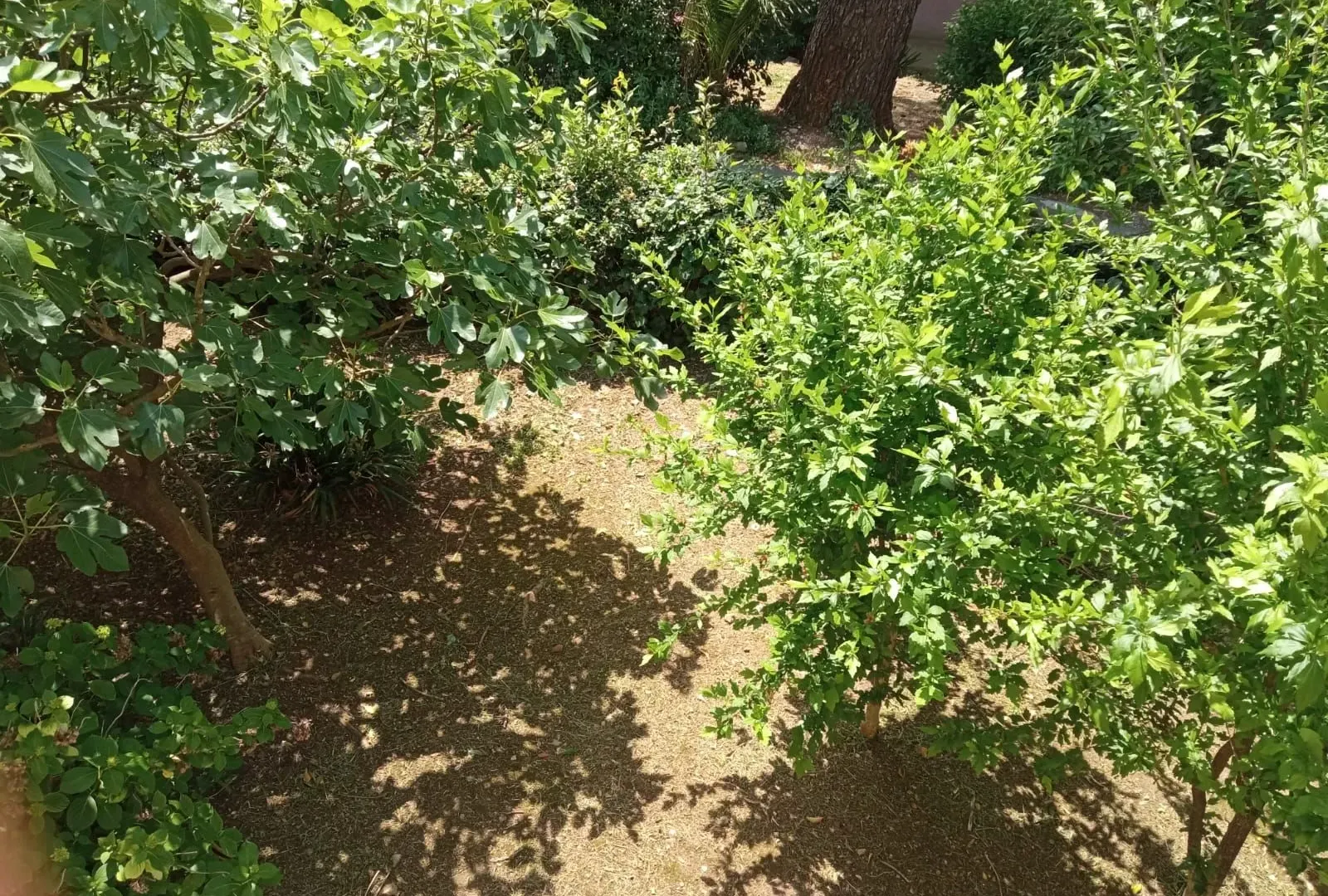 Prodaja, stan, 80m², Kotor, Crna Gora