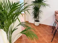 Sale, one bedroom apartment, 36m², Petrovac, Budva - image 9