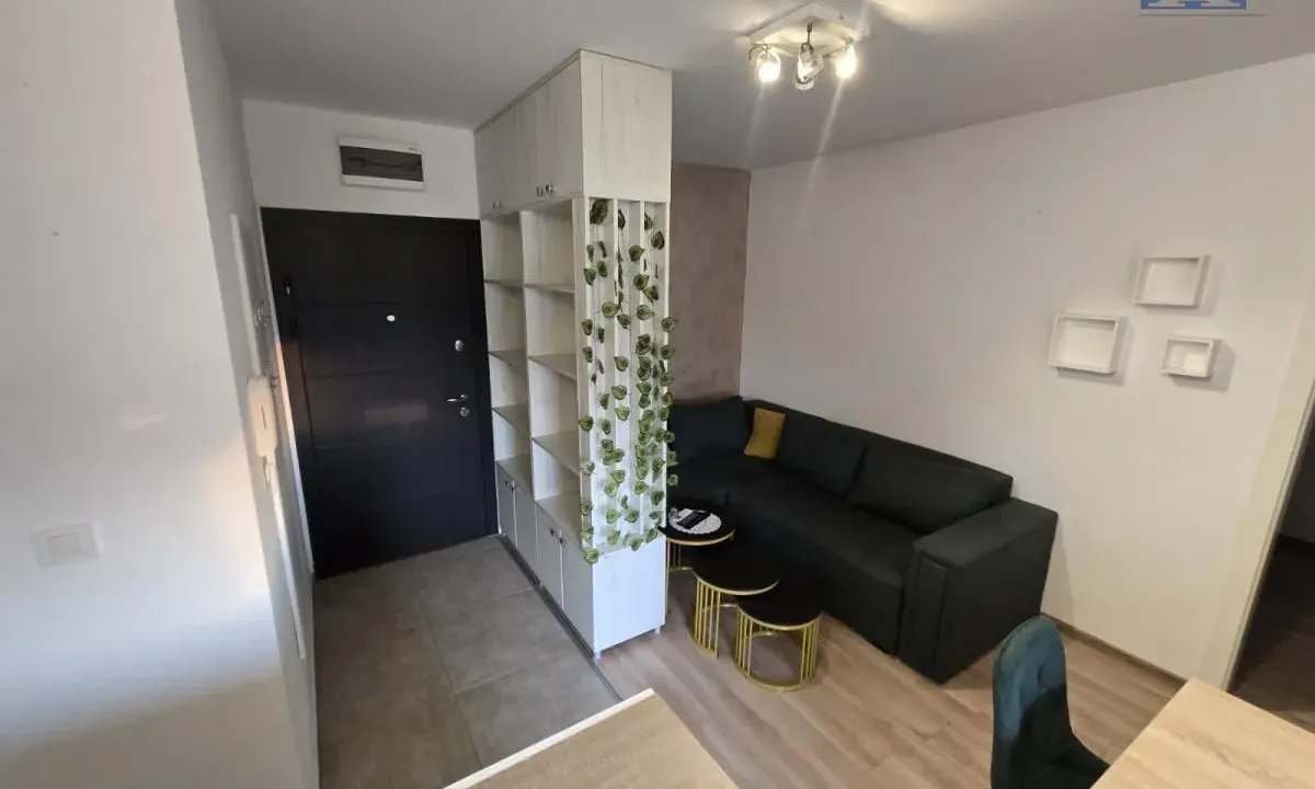 Rent, one bedroom apartment, 33m², Veternik, Novi Sad Sve Podlokacije