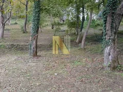 Prodaja, kuća, 160m², Rakovac, Novi Sad Sve Podlokacije - image 2