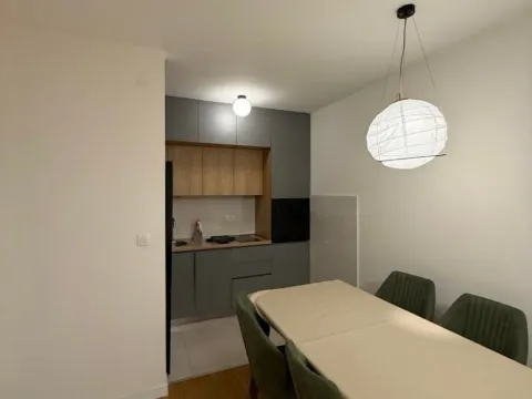 Izdavanje, jednosoban stan, 49m², Central Point, Podgorica - image 4