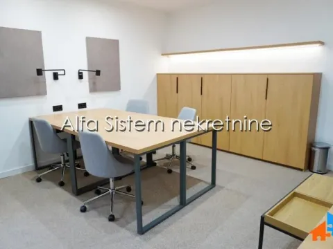 Rent, office space, 250m², Bogoslovija, Palilula Sve Podlokacije - image 18