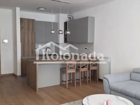 Izdavanje, dvosoban stan, 55m², Novi Beograd Blok 65, Novi Beograd Sve Podlokacije - image 5