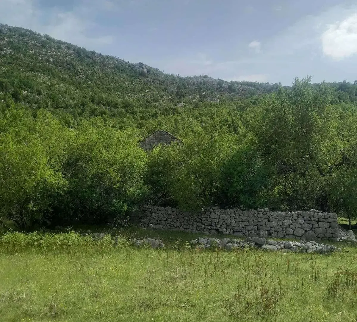 Prodaja, plac, 46676m², Dragalj, Kotor