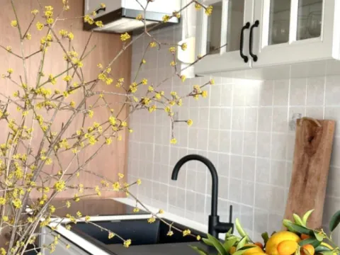 Izdavanje, jednosoban stan, 65m², Preko Morače, Podgorica - image 4