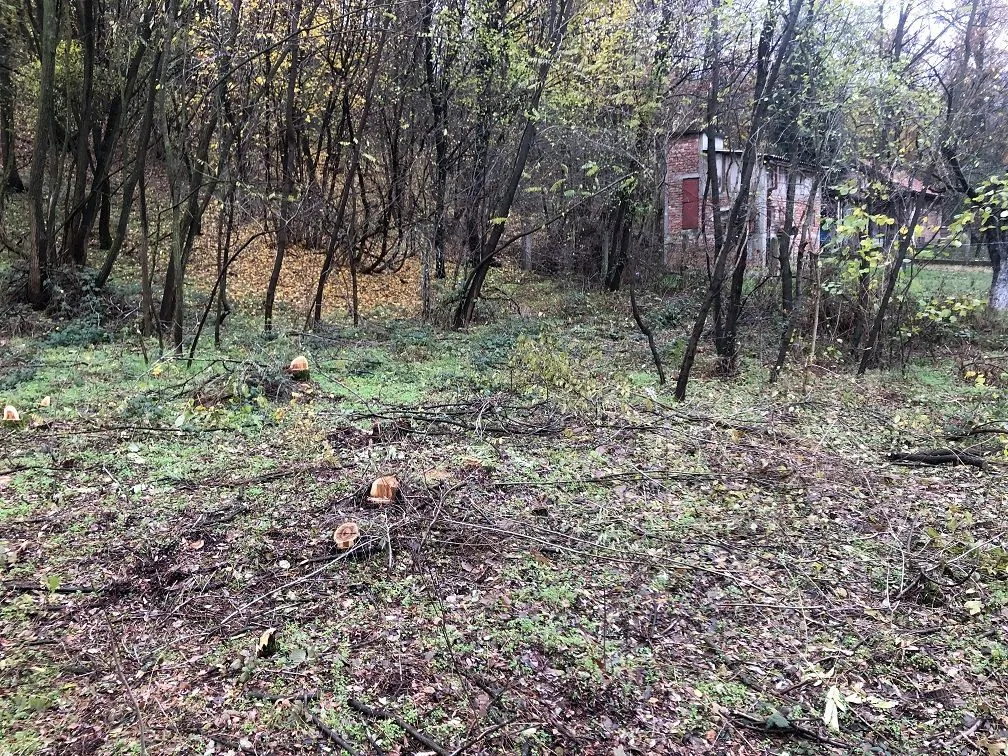 Prodaja, plac, 1000m², Grocka, Beograd