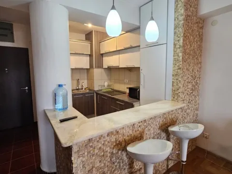 Izdavanje, jednosoban stan, 57m², City Kvart, Podgorica - image 11