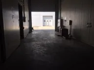 Izdavanje, poslovni prostor, 1500m², Šimanovci, Pećinci - image 4