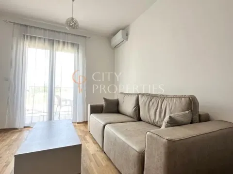 Rent, apartment, 47m², Zabjelo, Podgorica - image 3